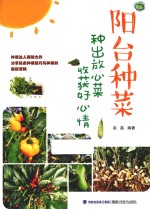 阳台种菜 种出放心菜收获好心情