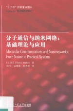 分子通信与纳米网络 基础理论与应用