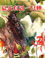 夏天有过一只蝉