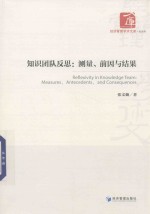 知识团队反思 测量、前因与结果