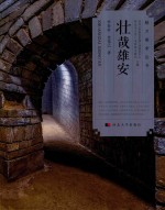壮哉雄安