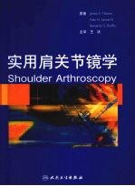 实用肩关节镜学