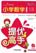 小学数学提优高手 三年级