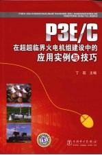 P3E/C在超超临界火电机组建设中的应用实例与技巧