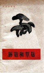 蘑菇和草菇