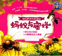 蚂蚁与蜂蜜 快乐的小蚂蚁