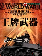 全景二战 王牌武器