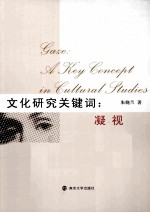 文化研究关键词 凝视