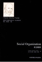 社会组织 英文