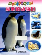 极地的动物们