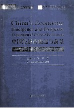 中国经济的崛起与前景 中国经济学家的思考与探索