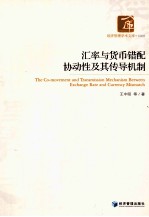 汇率与货币错配协动性及其传导机制