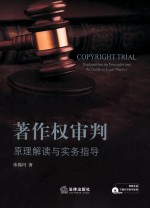 著作权审判 原理解读与实务指导
