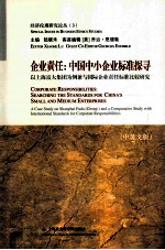 企业责任 中国中小企业标准探寻 以上海富大集团为例兼与国际企业责任标准比较研究 英文版
