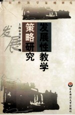 发展性教学策略研究