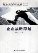 企业战略跨越