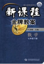 新课程金牌教案 七年级数学 下