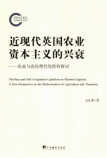近现代英国农业资本主义的兴衰 农业与农民现代化的再讨论