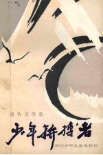 少年拼搏者