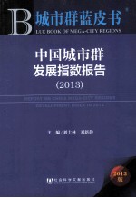 中国城市群发展指数报告 2013