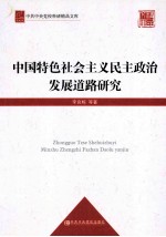 中国特色社会主义民主政治发展道路研究