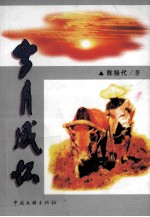 岁月感怀 诗文集