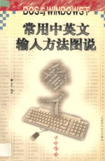 DOS与WINDOWS下常用中英文输入方法图说