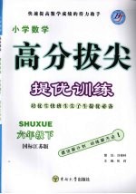 高分拔尖提优训练:数学 六年级下册 (国标江苏版)