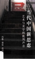 当代中国新思虑: 艺术与美学的批判声音