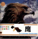 和动物朋友一起做游戏 20 鹰
