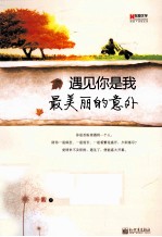 遇见你是我最美丽的意外