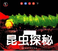 童眼识天下 昆虫探秘