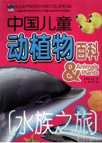 水族之旅