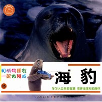 和动物朋友一起做游戏 15 海豹