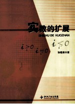 实数的扩展