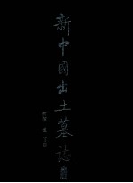 新中国出土墓志 河南 1 下