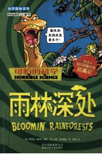 雨林深处