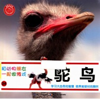 和动物朋友一起做游戏 24 鸵鸟