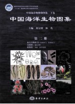 中国海洋物种和图集 中国海洋生物图集 第2册