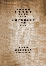 中国工业调查报告 中
