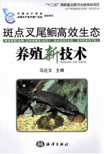 斑点叉尾鮰高效生态养殖新技术