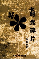 时光碎片