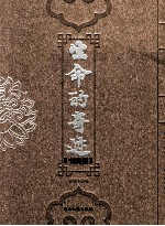生命的奇迹 3 书画集