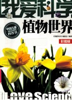 植物世界 彩图版