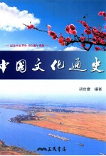 中国文化通史 下 彩印本