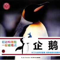 和动物朋友一起做游戏 11 企鹅