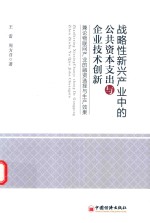 战略性新兴产业中的公共资本支出与企业技术创新 兼论物联网产业的融资选择与生产效果