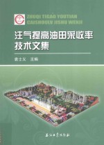 注气提高油田采收率技术文集