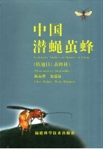 中国潜蝇茧蜂 膜翅目:茧蜂科 Hymenoptera:braconidae