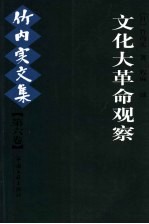 竹内实文集 第6卷 文化大革命观察